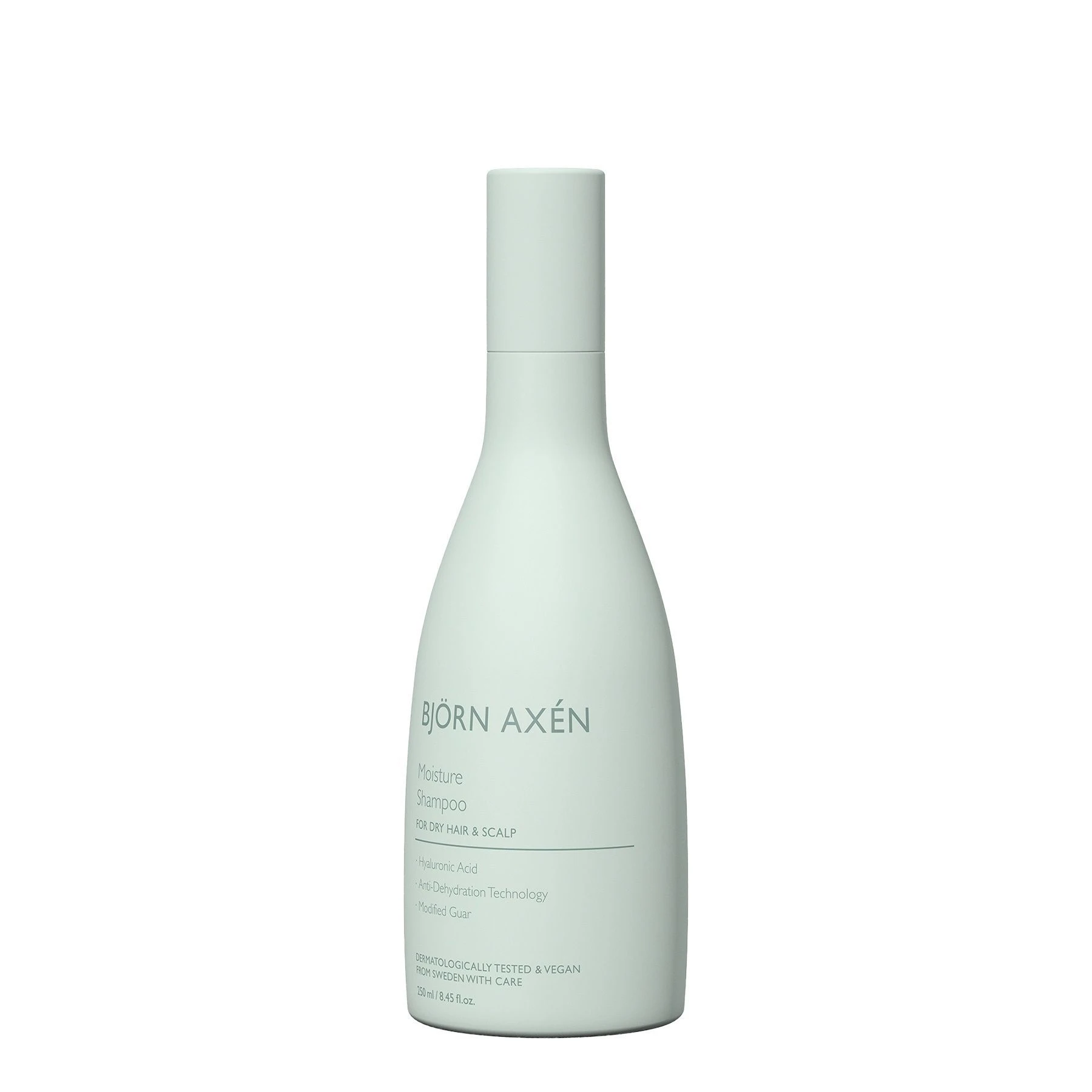 Зволожуючий шампунь для волосся Bjorn Axen Moisture Shampoo, 250 мл